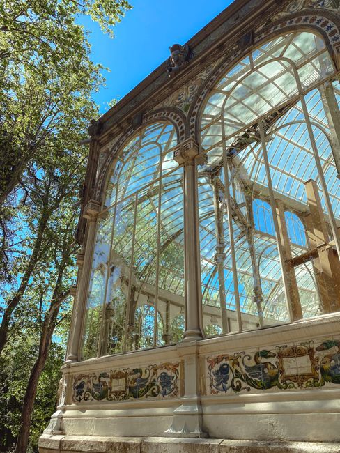 An ornate Victorian-style greenhouse with large, arched glass panels and decorative painted detailing along the lower section. The structure features slender metal columns painted in a light cream or off-white color, supporting the glass roof that curves gently upward. The glass panels are clear, allowing natural sunlight to illuminate the interior, and some internal structural supports are visible. Surrounding the greenhouse are green leafy trees with branches extending into the frame, set against a bright blue sky. The base of the greenhouse appears to be stone or concrete, providing a solid foundation. The overall scene emphasizes the elegant, historic design of the glasshouse, situated outdoors amidst natural foliage, with a focus on its architectural details and transparent structure. This scene is relevant to private or specialist waste removal services concerned with maintenance, restoration, or renovation of historic structures like conservatories or greenhouses, often requiring careful handling of glass and delicate decorative elements, as offered by companies like [COMPANY_NAME].